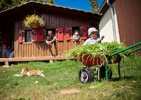 Urlaub auf dem Bauernhof